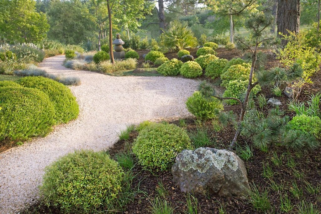 Jardin Japonais Zen : Allée Gravier et Végétation Allée de gravier clair sinueuse traversant un jardin d'inspiration japonaise avec buissons taillés et pin nains.