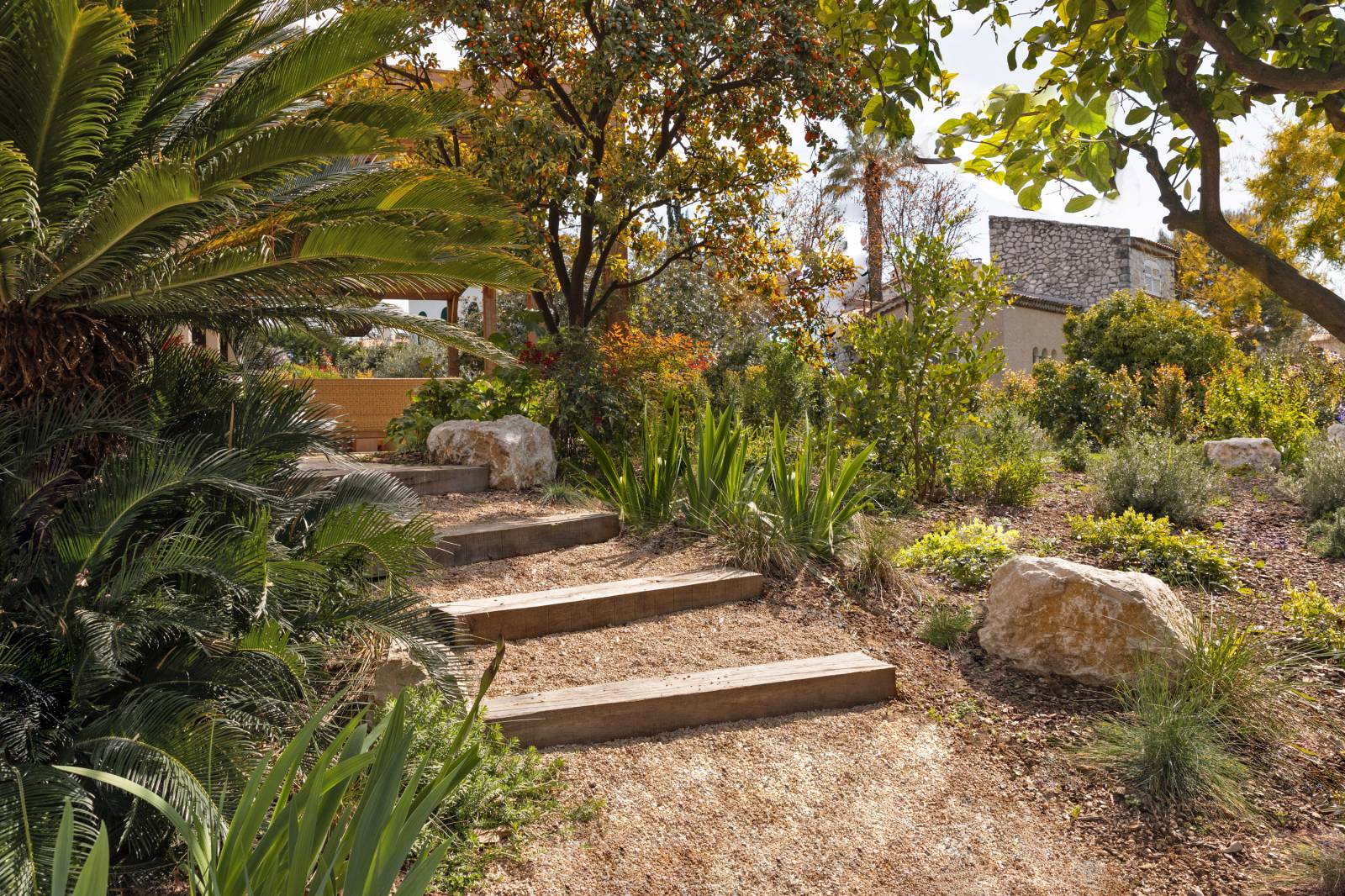 Escalier rustique en bois traversant un jardin méditerranéen luxuriant avec palmiers, plantes vertes et rochers, menant à une bâtisse en pierre.