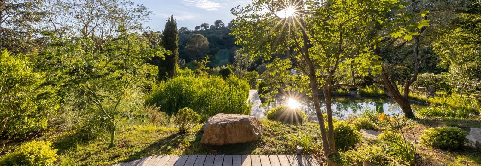 Jardin luxuriant ensoleillé avec grand rocher, étang naturel et arbres verts, lumière du soleil éclatante.
